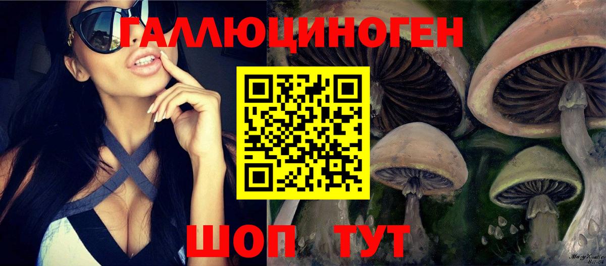 даркнет сайт  Галлюциногенные грибы Psilocybe  Вход с VPN  Урус-Мартан 
