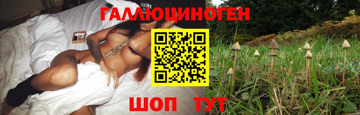 Галлюциногенные грибы MAGIC MUSHROOMS Урус-Мартан
